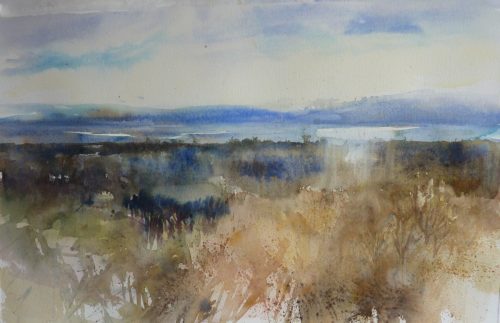 Riet-Anthonissen-Weids-landschap